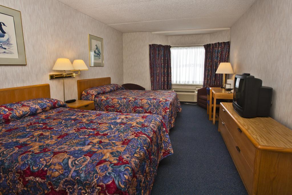 Hotel North North Sydney Quarto foto